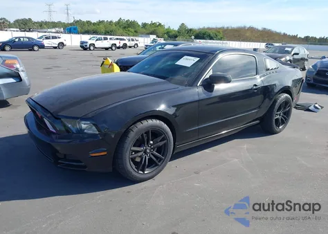 2013 Ford Mustang V6 z USA, uszkodzony, nr VIN 1ZVBP8AM6D5226425